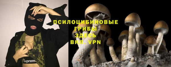 стаф Богородицк