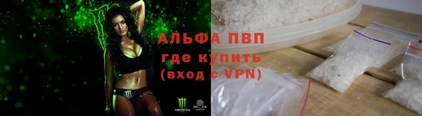 стафф Богородск