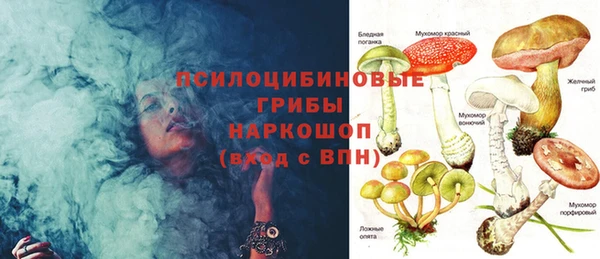 стаф Богородицк
