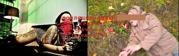 не бодяженный Богданович