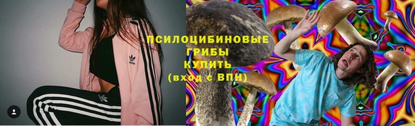 не бодяженный Богданович